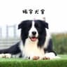 振宇犬舍