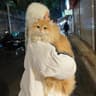 猫猫的家