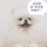 萌宠生活馆