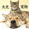大光宠物《全国发货》