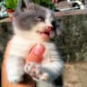 手机用户6914